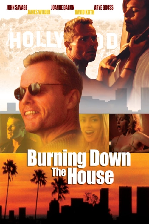 Burning Down the House poster